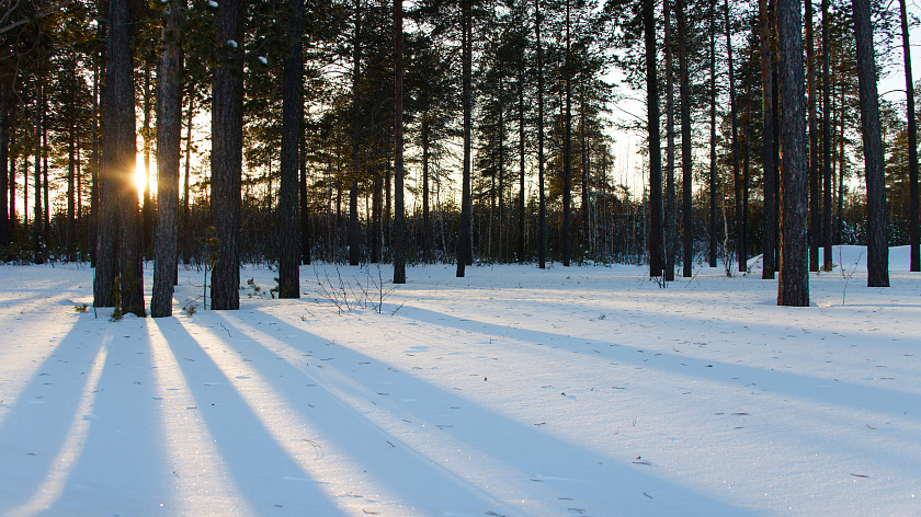 Понедельник на Ямале: от весеннего тепла до зимней метели
