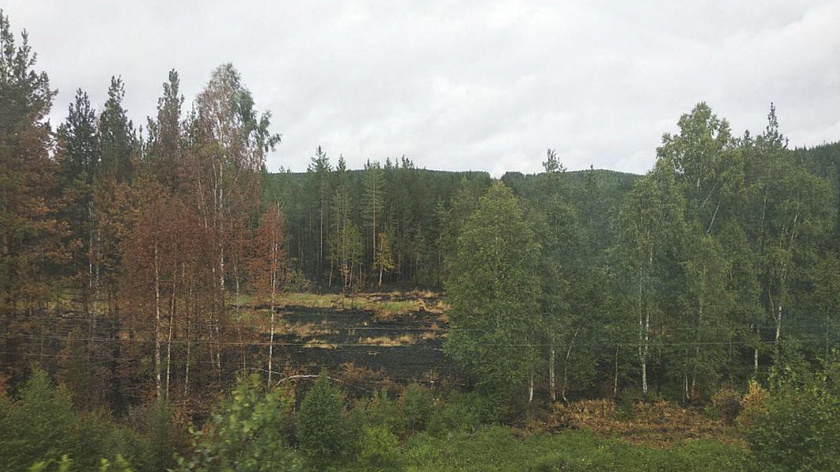 В Тюменской области отменили особый противопожарный режим