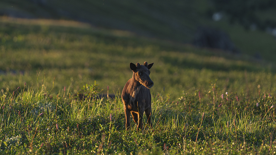 Фото: «Газпромнефть-Заполярье»