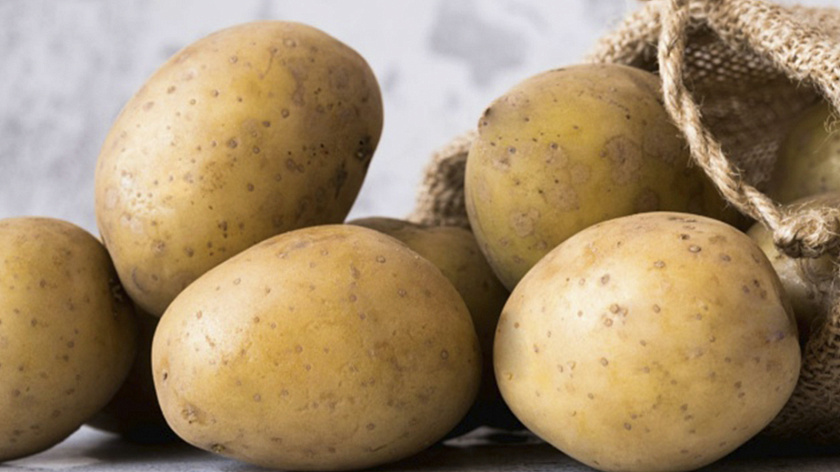 Названы самые популярные сорта картофеля в Тюменской области