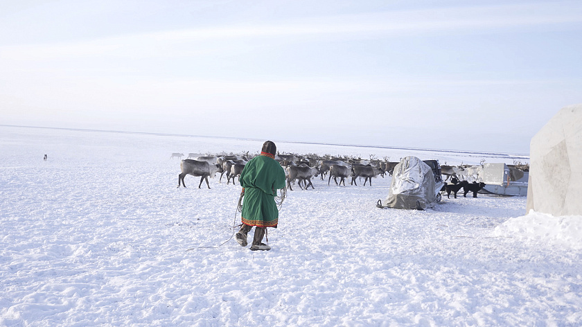 Полярный индекс: Ямал стал лидером престижного рейтинга арктических регионов