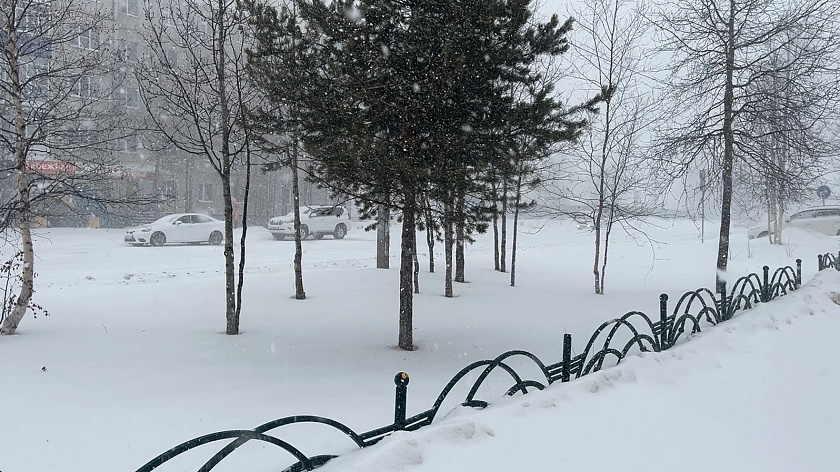 С начала зимы в Свердловской области выпало на 50% больше нормы осадков