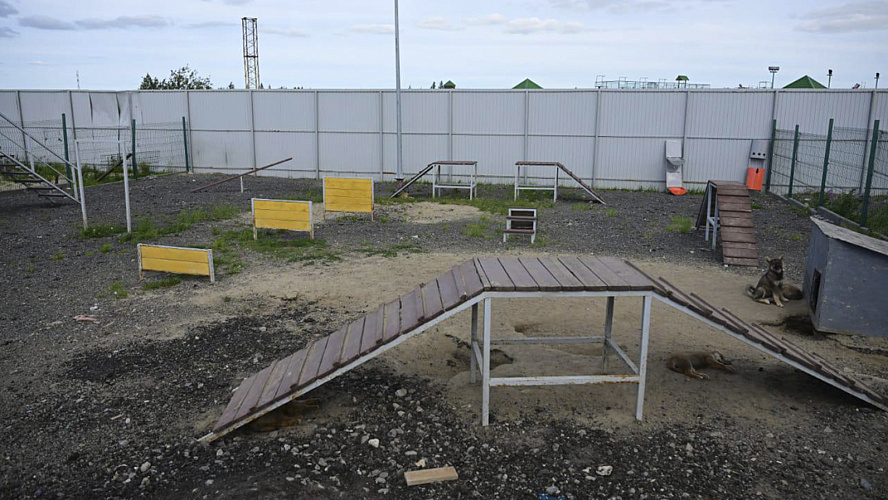 Фото: Tелеграм | Антон КОЛОДИН | НОВЫЙ УРЕНГОЙ