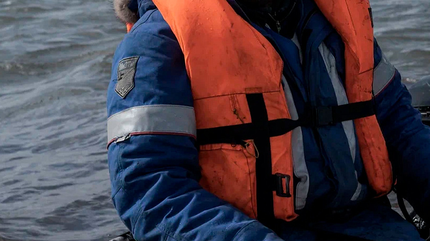 В Мурманской области организовали спасательную операцию для краснокнижного кита