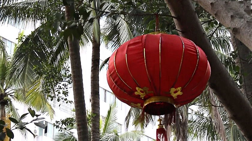 Трое ямальцев вошли в шестерку сильнейших знатоков востоковедения