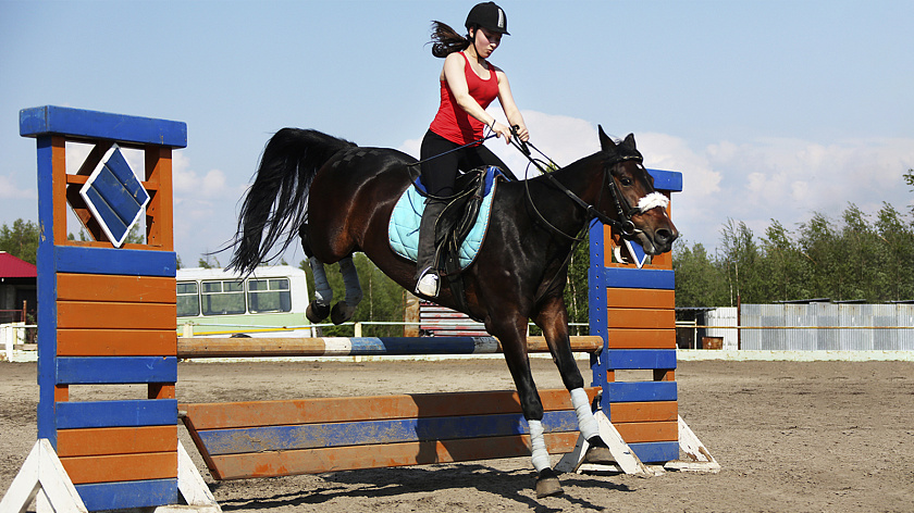 Спортсмены Ноябрьска взяли россыпь наград на соревнованиях по конкуру в Югре