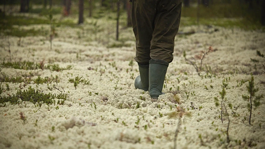Фото: Леонид Корнильев