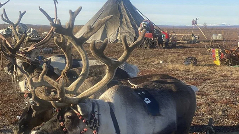 Коренным жителям Ямала компенсируют расходы на обучение обращению с оружием