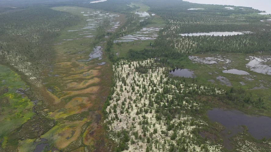 Фото: Семён Сесёкин