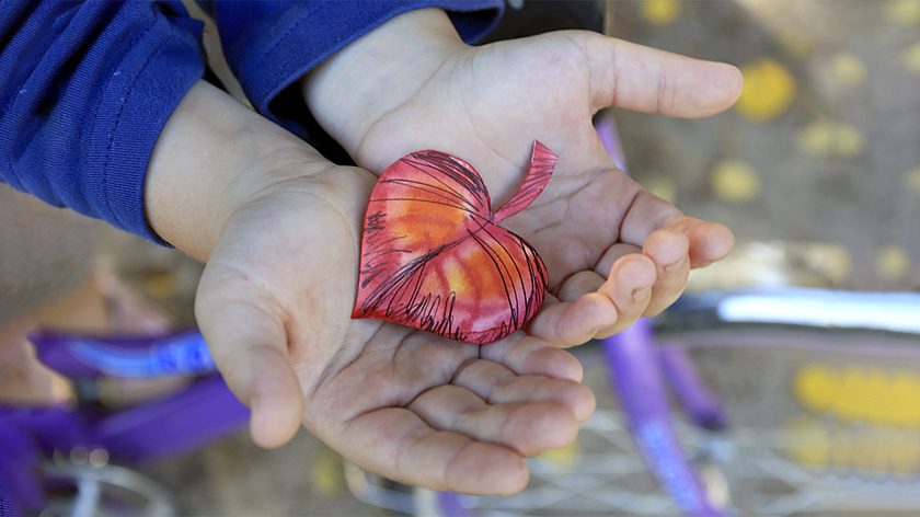 На Ямале выбрали лучшие социальные проекты
