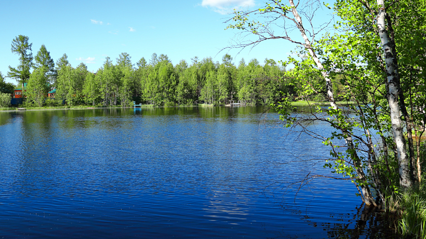 В Свердловской области после жалоб жителей обследуют 37 водоёмов 