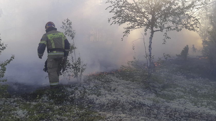 На Ямале снижается число природных пожаров