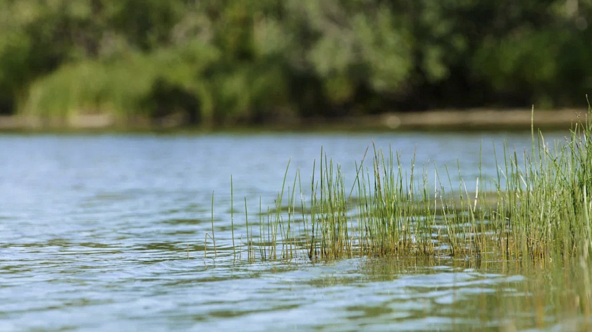 Юный ямалец утонул в Тазовском районе