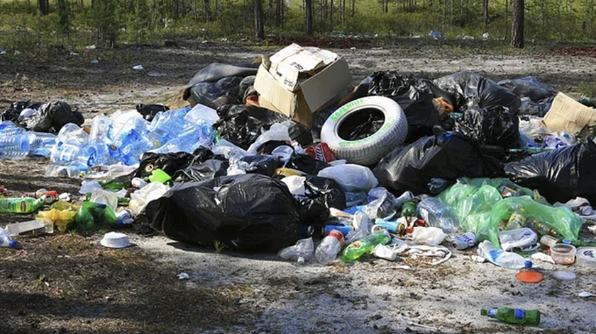 Предпринимателя из Мужей через суд обязали убрать свалку