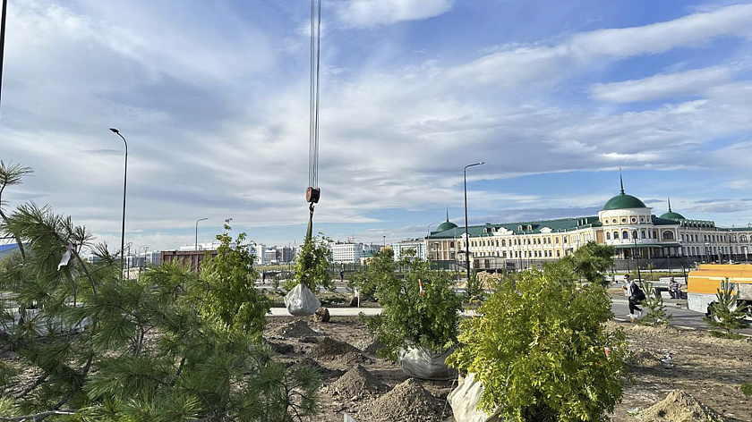 Около 30 новых деревьев появилось у экстрим-парка в Салехарде