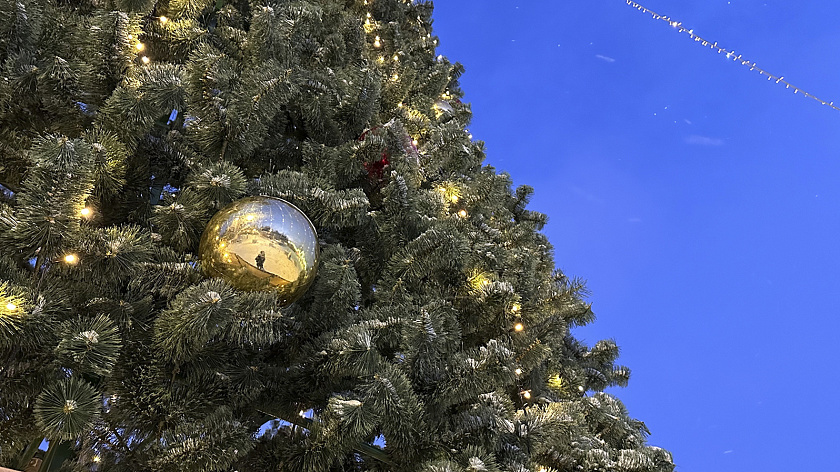 Демонтаж главной новогодней ёлки Петербурга перенесли на 22 января