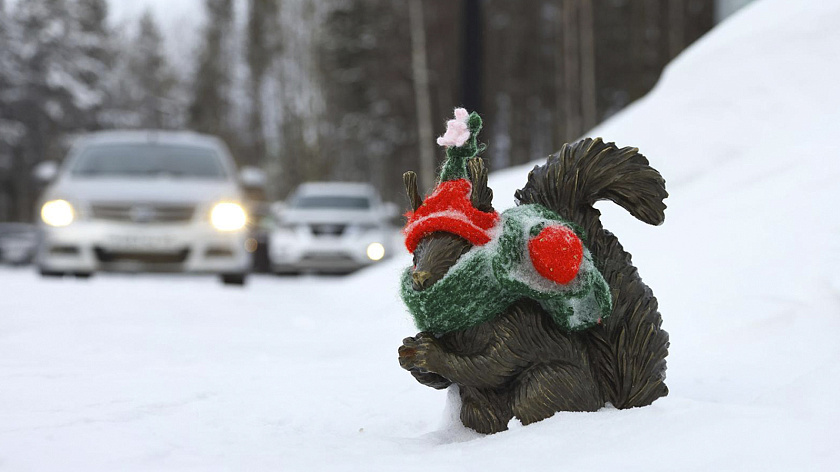 В Ноябрьске белки устроили показ мод у здания администрации 