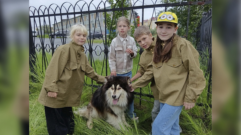 Необычный урок истории с участием ездовых собак провели для школьников в Салехарде
