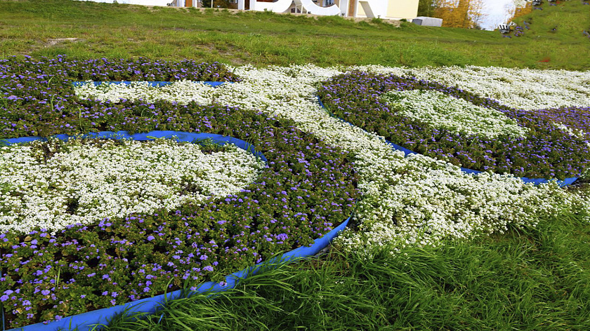 Композиция из тысячи многолетних кустарников украсит Ноябрьск