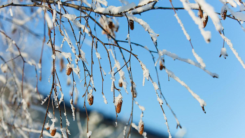 Воскресенье на Ямале: снежные заряды и капель