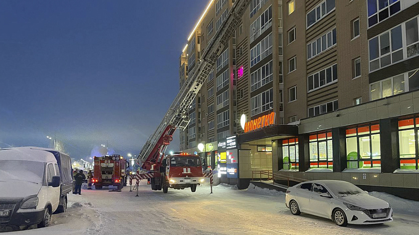 При пожаре в жилом доме Нового Уренгоя погибли 20 животных