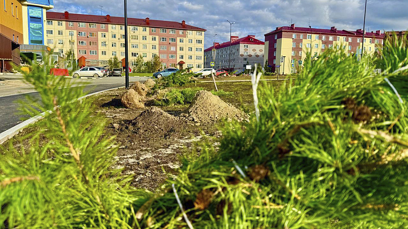В Салехарде проинспектировали озеленение на городских улицах
