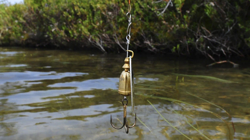 Россиян предупредили об уголовной ответственности за неправильную рыбалку