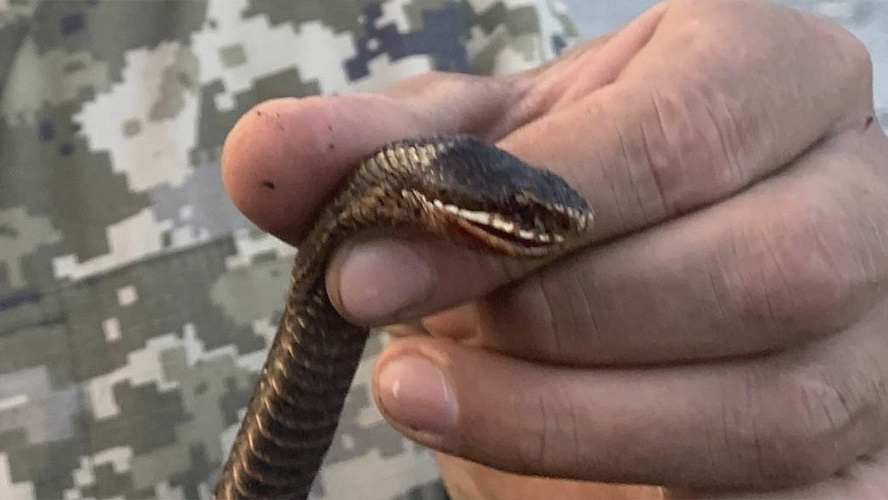 Фото: ВКонтакте | Мой Шурышкарский