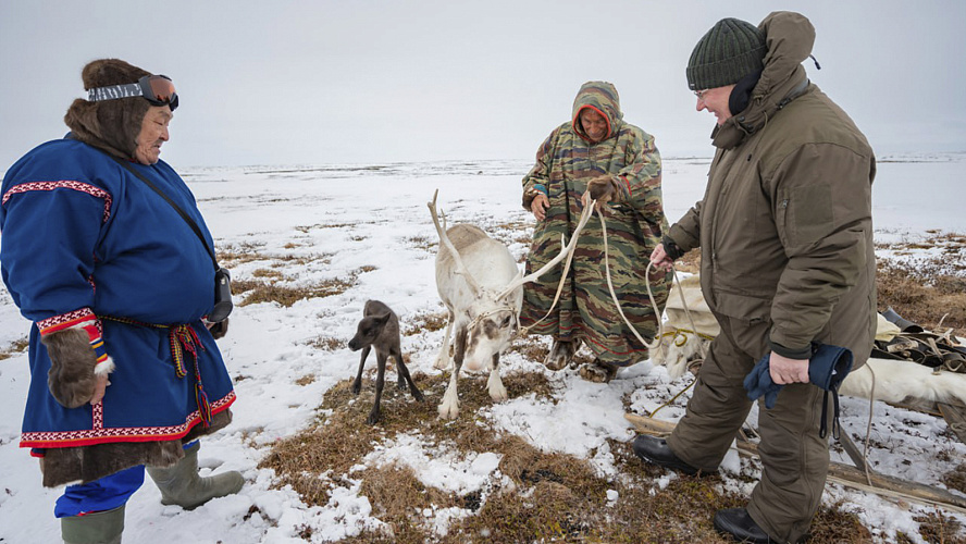 Фото: Telegram | Андрей Кугаевский