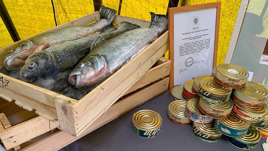 Фото: Tелеграм | Администрация Салехарда