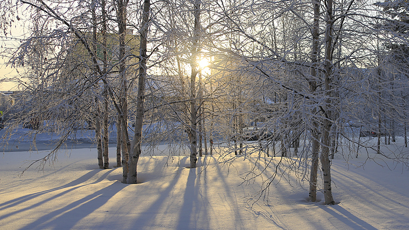 Ученые вновь зафиксировали рост вспышечной активности на Солнце