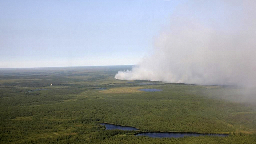 Между Муравленко и Губкинским горит лес