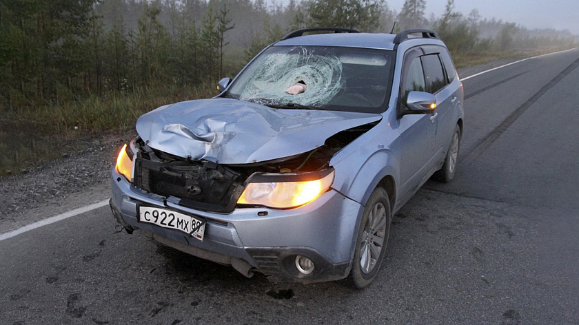 В Пуровском районе под колесами иномарки погиб пешеход
