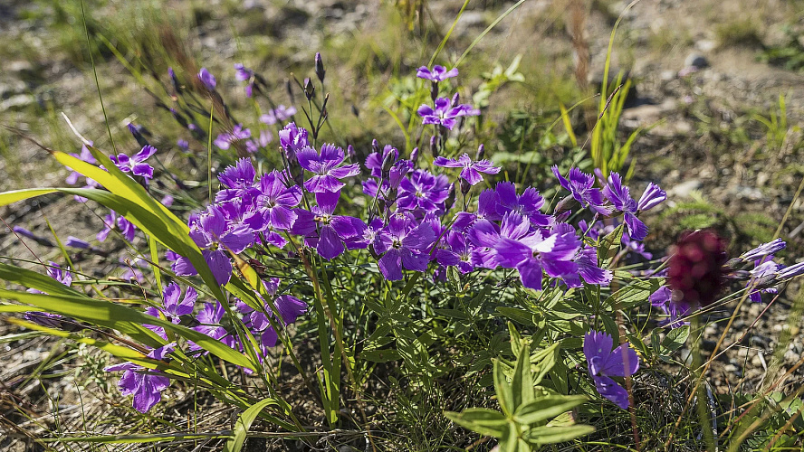 Фото: Данил Хусаинов
