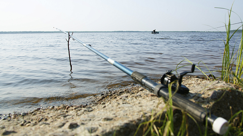 В Думе Астраханской области объяснили продление запрета на вылов воблы