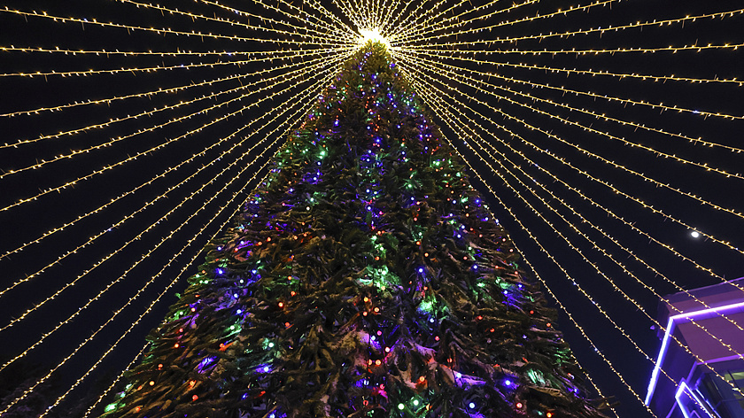 Елка из Мужей поборется за звание самой лучшей в России