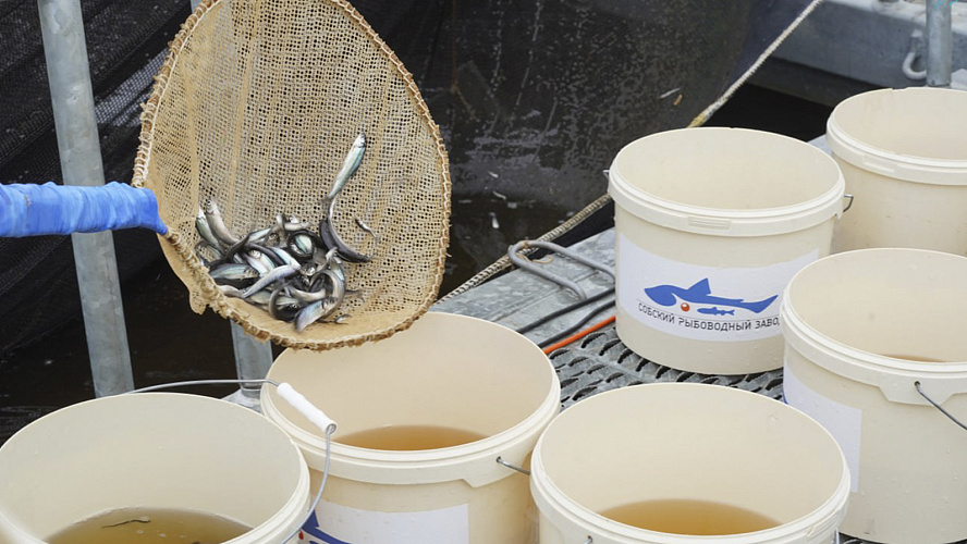 Фото: Тазовский Район. Официально