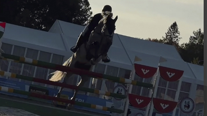 Всадники Югры взяли россыпь наград на всероссийских соревнованиях по конкуру 