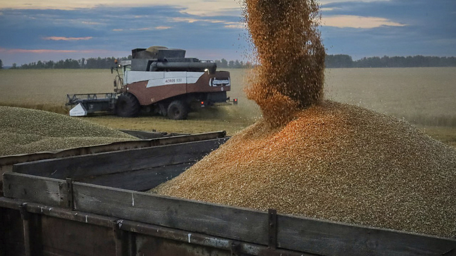 Фото: Telegram | Информационный центр правительства Тюменской области