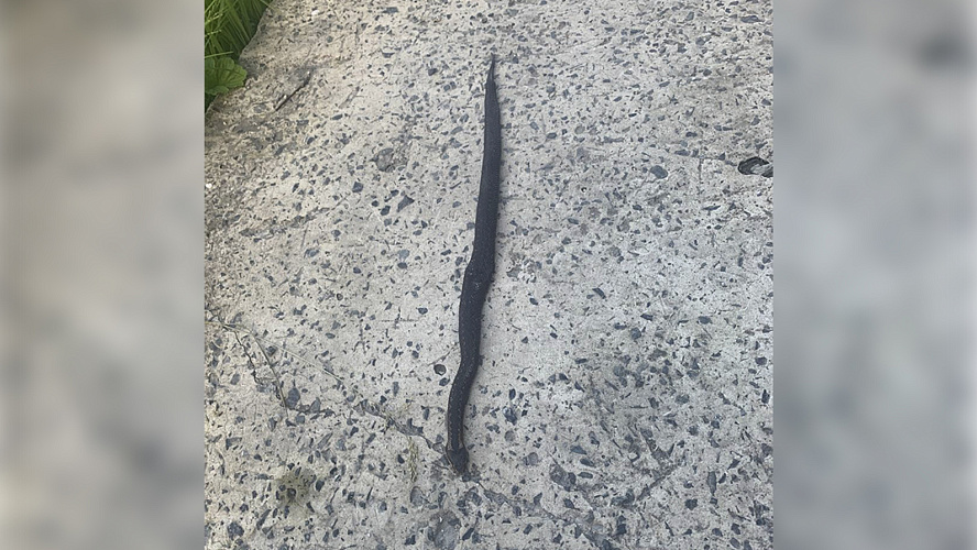 Фото: ВКонтакте | Мой Шурышкарский