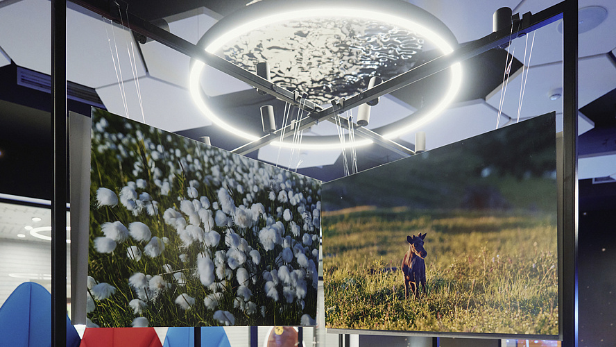 Фото: Герман Совенко