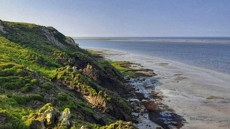 Фото: Tелеграм | Доктор DAA