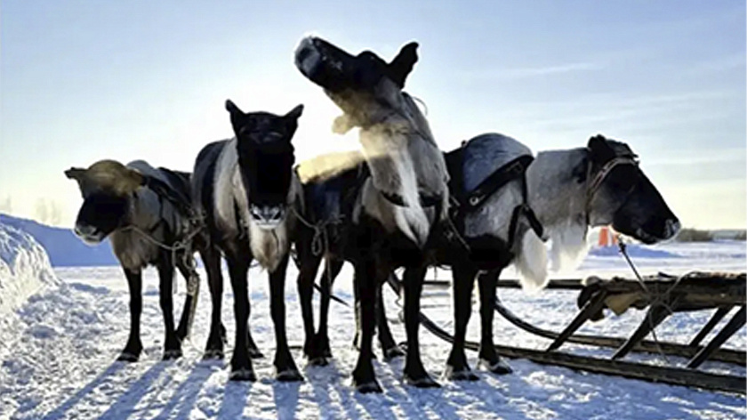 Юбилейный День охотника и оленевода в Ербогачёне объединил более 250 жителей