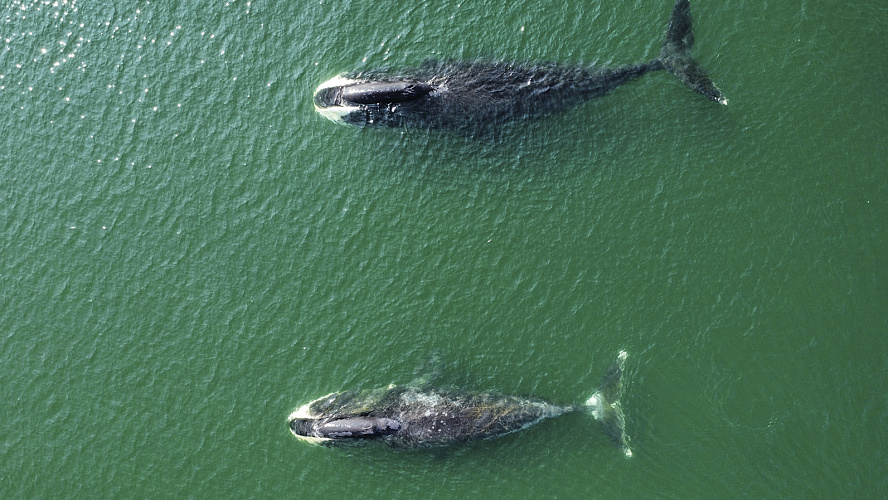 Фото: Анастасия Куница