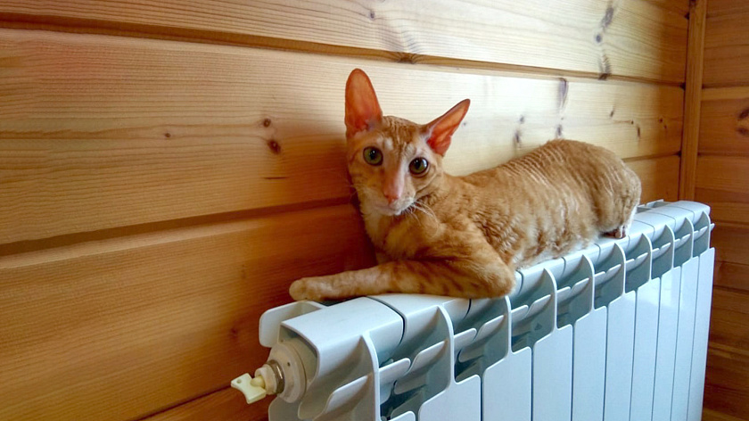 Тепло вернулось в дома салехардцев после прорыва трубы