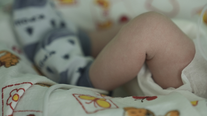 В ЗАГСах Красноярского края устроят праздники для семей с новорождёнными