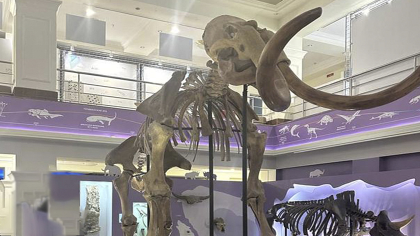 Сотрудница музея Шемановского представит Салехард на международной арене