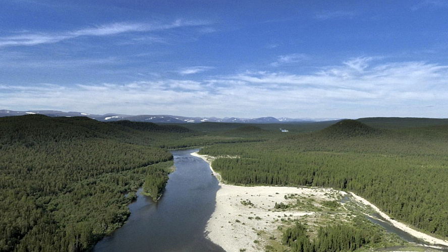 Фото: ВКонтакте | Департамент природных ресурсов ЯНАО