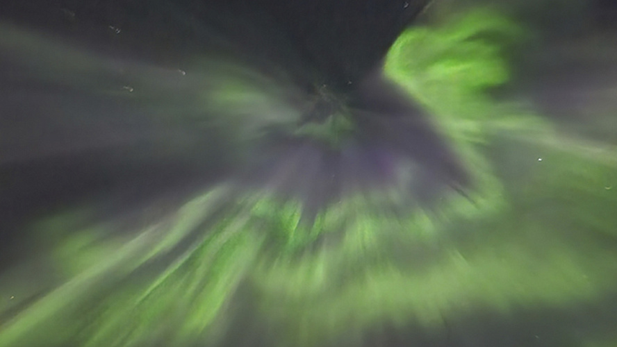 Фото: VK | Боридко Боридко