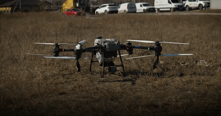 СЕЛЬСКОЕ ХОЗЯЙСТВО